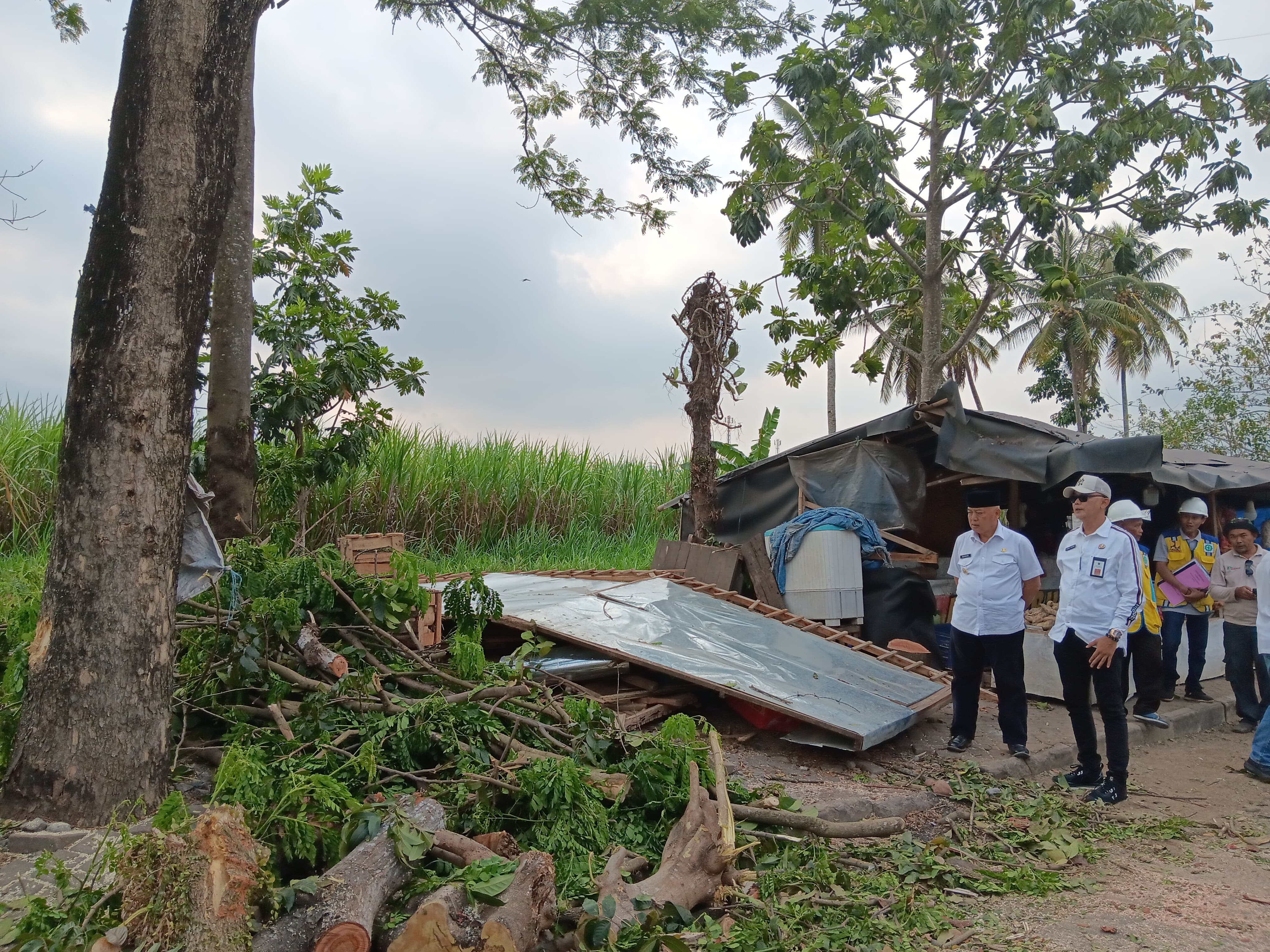 PERBAIKAN JALAN: Bupati Malang H M. Sanusi didampingi Kepala DPUBM Kabupaten Malang Khairul Isnaidi Kusuma meninjau penebangan pohon di jalur Gondanglegi-Bantur kemarin (4/9).