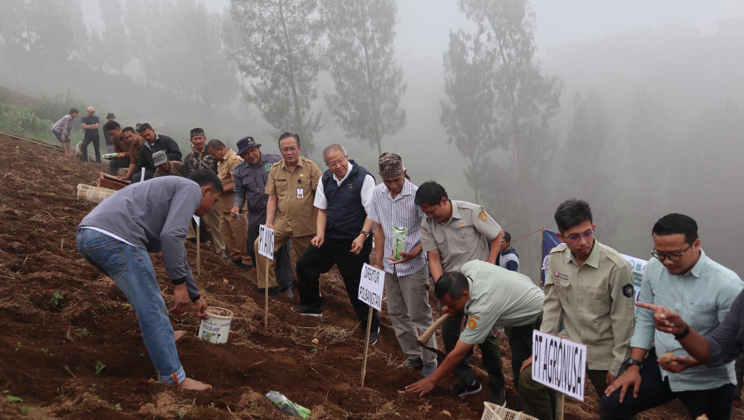 MUSIM TANAM: Para petani di Desa Ngadas, Kecamatan Poncokusumo, Kabupaten Malang didampingi DTPHP melakukan penanaman bibit kentang secara serentak.
