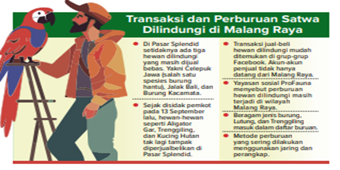 Grafis transaksi dan perburuan satwa dilindungi di Malang Raya.