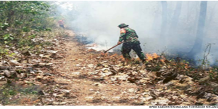 MANUAL: Petugas gabungan memadamkan api yang membakar hutan jati di Gunung Geger, Desa Sumberejo, Kecamatan Pagak, kemarin (30/9).