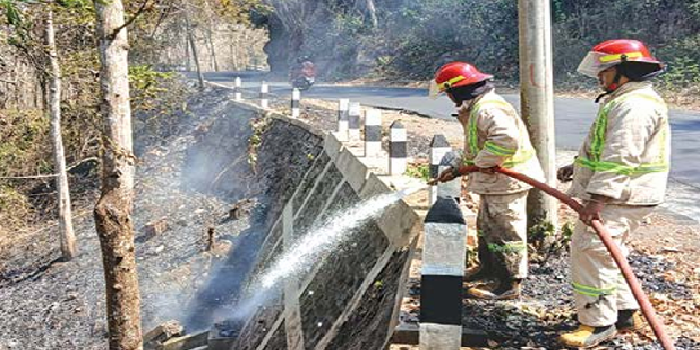 SIGAP: Personel Damkar Kabupaten Malang memadamkan kobaran api di petak 12 B Gunung Geger, Desa Sumberejo, Pagak. (DAMKAR KABUPATEN MALANG FOR RADAR KANJURUHAN)