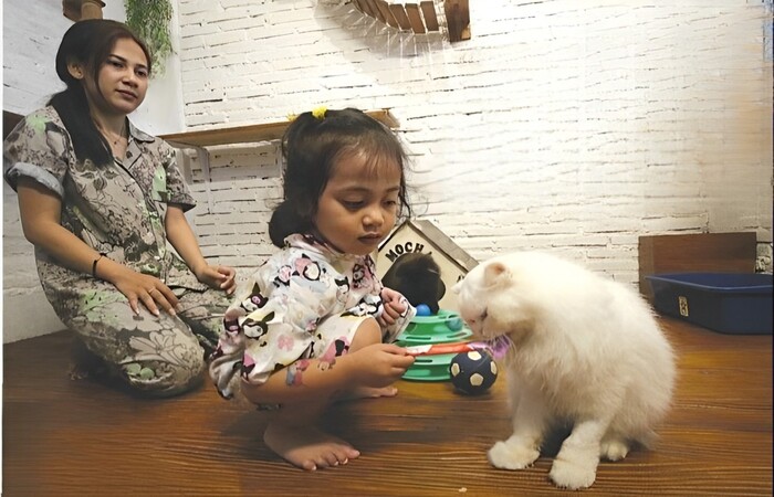 RUTIN DIRAWAT: Ditemani ibunya, salah satu anak bermain dengan koleksi kucing di Meow Cat Cafe, Jumat lalu (11/10).