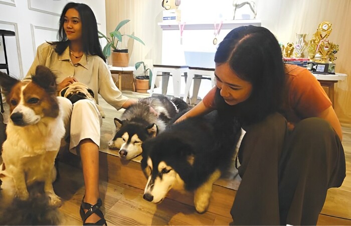 SEJAK 2017: Dua pengunjung bermain dengan beberapa anjing penghuni Pawvilion Dog Cafe di Jalan Kesemek, Sukun.
