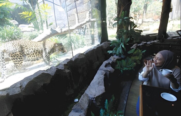 LANTAINYA BERPUTAR: Jungle Fast Food yang berada di area Jatim Park II menawarkan sensasi makan dengan ditemani leopard atau macan tutul.