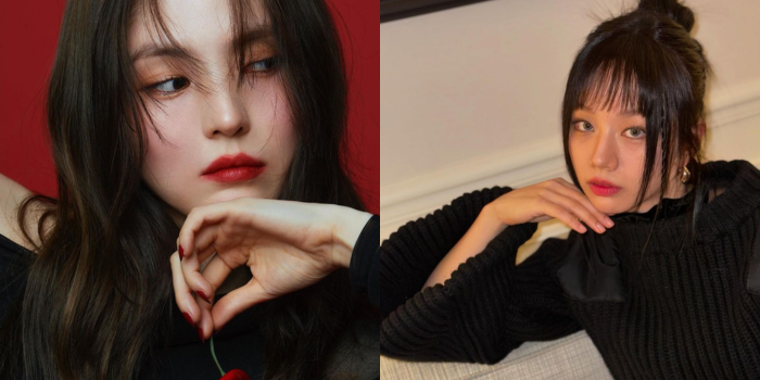 foto Han So Hee dan Hyeri (dalam postingan instagram pribadi mereka)