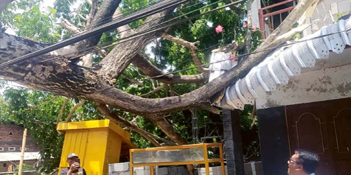 EVAKUASI TIGA JAM: Pohon juga sempat menutup akses lalu lintas.