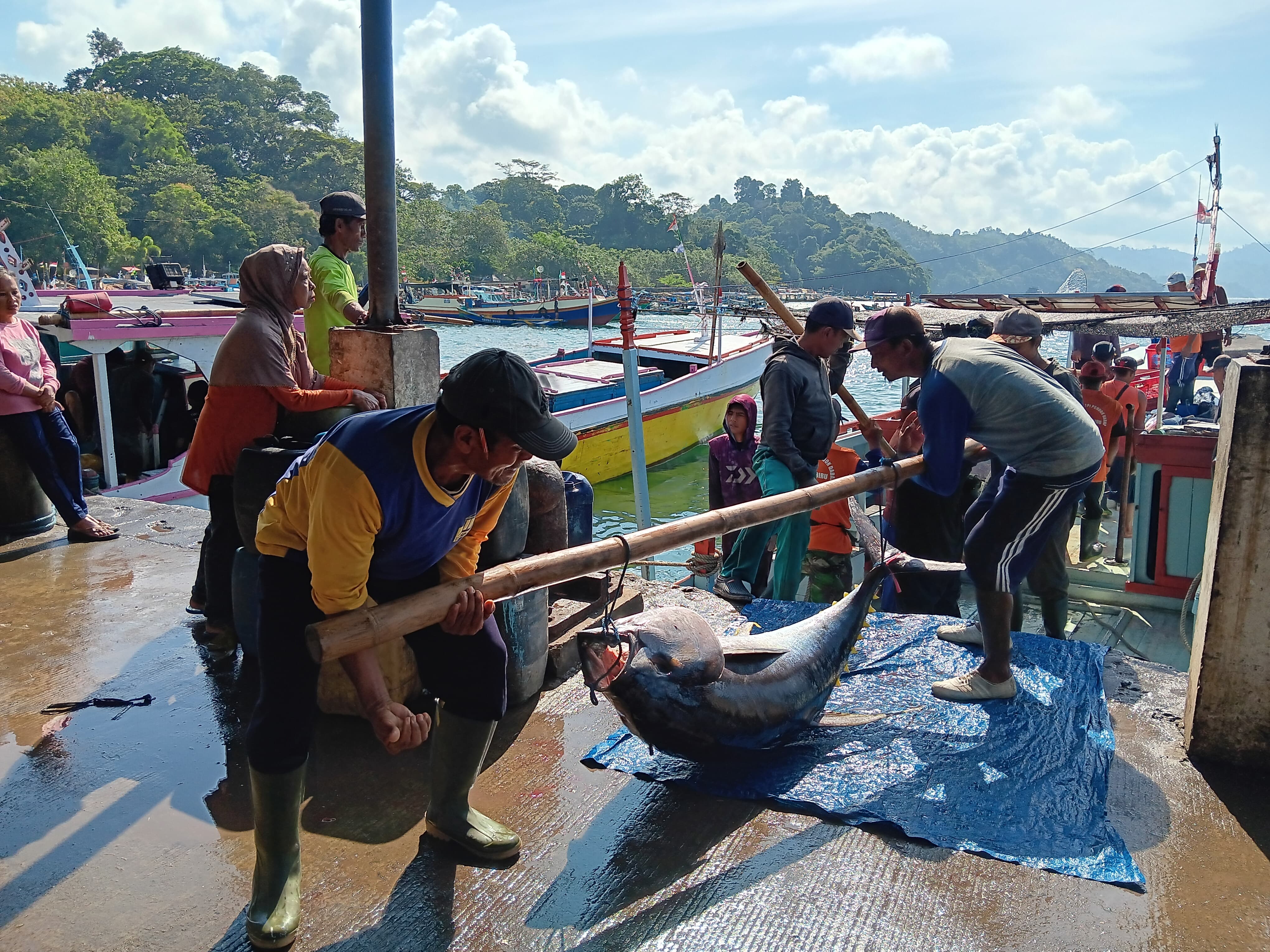 TANGKAPAN BERKURANG: Para nelayan membawa ikan hasil tangkapannya ke Tempat Pelelangan Ikan (TPI) Pondok Dadap, Sumbermanjing Wetan, Kabupaten Malang.