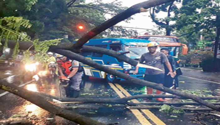 DITERJANG ANGIN: Petugas BPBD Kota Malang menyingkirkan dahan pohon  yang patah dan menghalangi arus lalu lintas di Jalan Kolonel Sugiono kemarin (20/10).