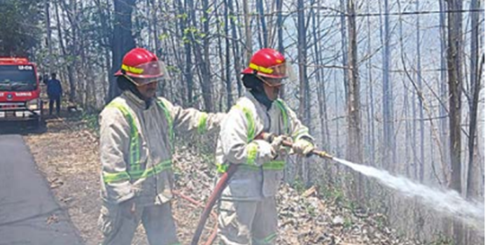 TIGA JAM PEMADAMAN: Petugas Damkar Kabupaten Malang memadamkan api yang membakar kawasan hutan jati di Gunung Geger, Desa Sumberejo, Pagak kemarin (22/10)