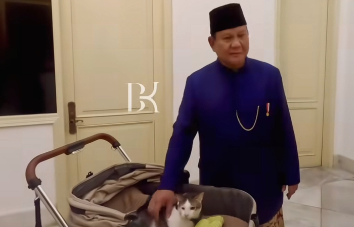 Bobby, kucing kesayangan Prabowo dibawa masuk ke dalam Istana Merdeka (Tangkapan layar dari Reel Instagram bobbykertanegara)