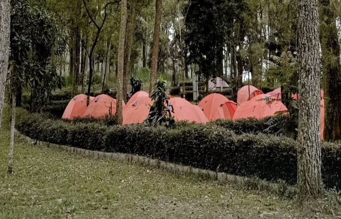 Lahan camping Greenrock Campers yang sangat luas (Instagram greenrockcampers)