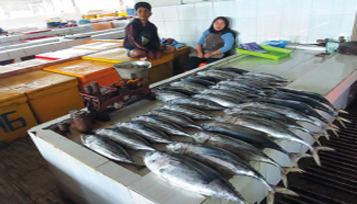 MINIM TUNA: Ikan di Tempat Pelelangan Ikan (TPI) Pondok Dadap, Sumbermanjing Wetan, Kabupaten Malang didominasi cakalang dan tongkol.