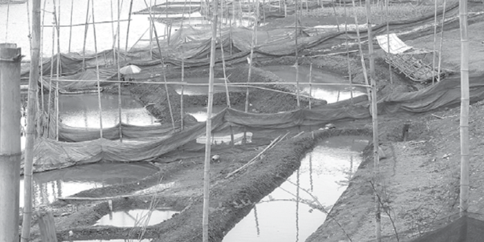 MENYUSUT: Bambu-bambu ditancapkan di kolam pemancingan area Bendungan Lahor, Sumberpucung.