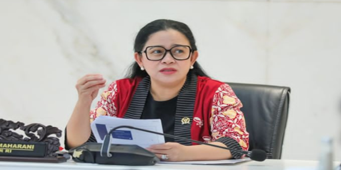 Puan Maharani (Instagram pribadi Ketua DPR RI)