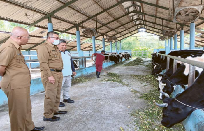 INSPEKSI: Plt Bupati Malang Didik Gatot Subroto (dua dari kiri) meninjau kandang sapi di Desa Bambang, Kecamatan Wajak, Selasa lalu (5/11). Susu sapi menjadi bahan baku pembuatan keju.