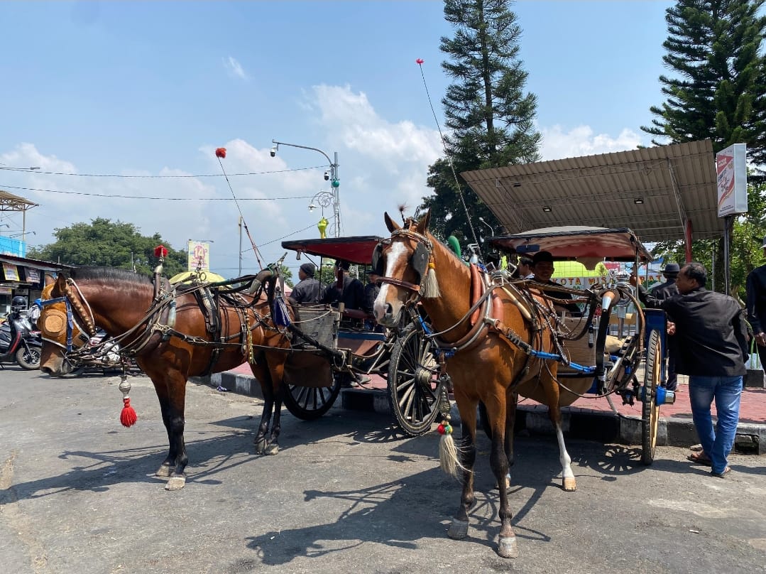 TUNGGU PENUMPANG: Setiap hari ada dokar wisata yang stand by di seputar Alun-Alun Kota Batu.