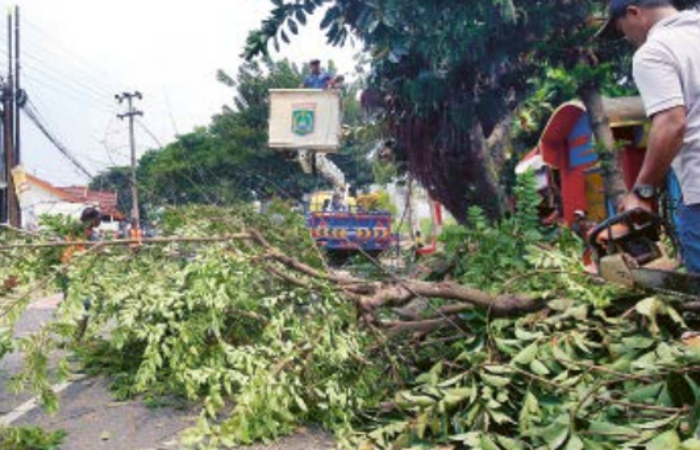 GANGGU PENGENDARA LAIN: Petugas dibantu warga mengevakuasi dahan pohon yang patah di Jalan Raya Ampeldento, Kecamatan Pakis kemarin siang (14/11).