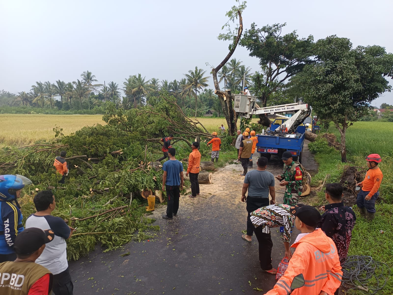 WASPADA BENCANA: Relawan bersama petugas BPBD Kabupaten Malang mengevakuasi pohon tumbang di Jalan Yos Sudarso, Desa Mangunrejo, Kecamatan Kepanjen tumbang kemarin (21/11).