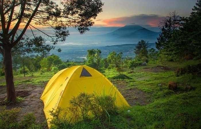 Ilustrasi Tempat Camping (sumber: pinterest)