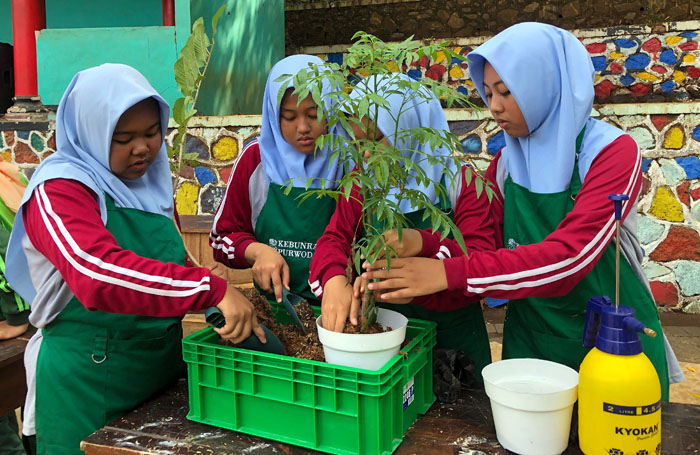 Praktik tanam buah dalam pot dilakukan siswi SMPN 1 Purwodadi
