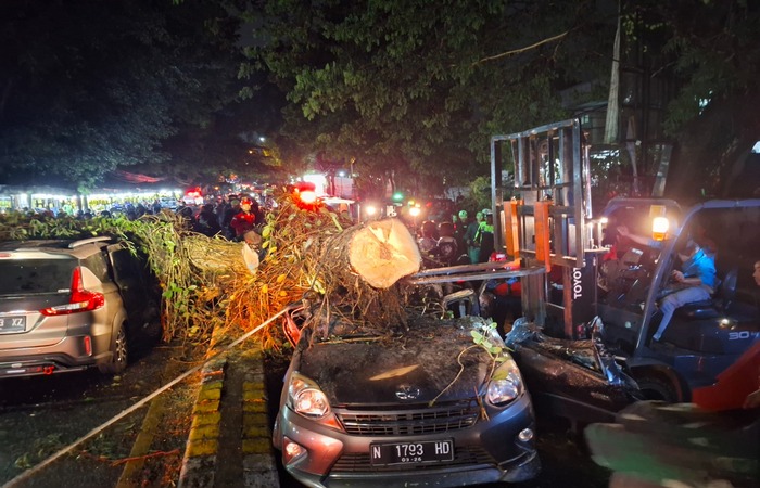 EVAKUASI ALOT: etugas dibantu warga berusaha menyingkirkan pohon asam tumbang yang menimpa dua mobil dan satu motor di Jalan Raya Karanglo, Kecamatan Singosari, tadi malam (29/11).