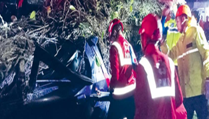MEMAKAN WAKTU: Petugas menggunakan gerinda untuk  mengevakuasi korban pohon  tumbang di Jalan Raya Karanglo,  Kecamatan Singosari, Jumat malam  (29/11).