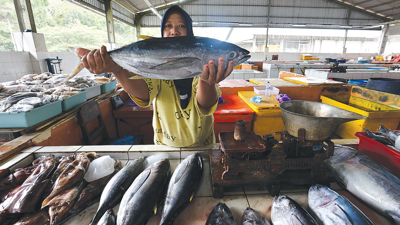 PASOKAN MENURUN: Seorang penjual ikan di Kios Ikan Nelayan (KIN) area Pantai Sendangbiru, Kecamatan Sumbermanjing Wetan menunjukkan ikan hasil tangkapan nelayan kemarin.