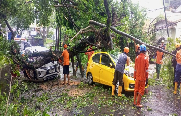 TAK BISA MENGHINDAR: Honda Brio kuning dengan nomor polisi N 1689 BV dan Mitsubishi Xpander putih bernopol N 1681 FZ tertimpa pohon tumbang di Jalan Terusan Dieng, Kelurahan Pisang Candi