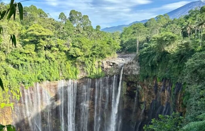 (Instagram: tumpaksewu)