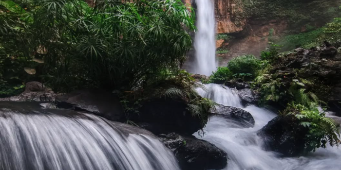 Wisata Kapas Biru Malang (Foto: M Budiarto)