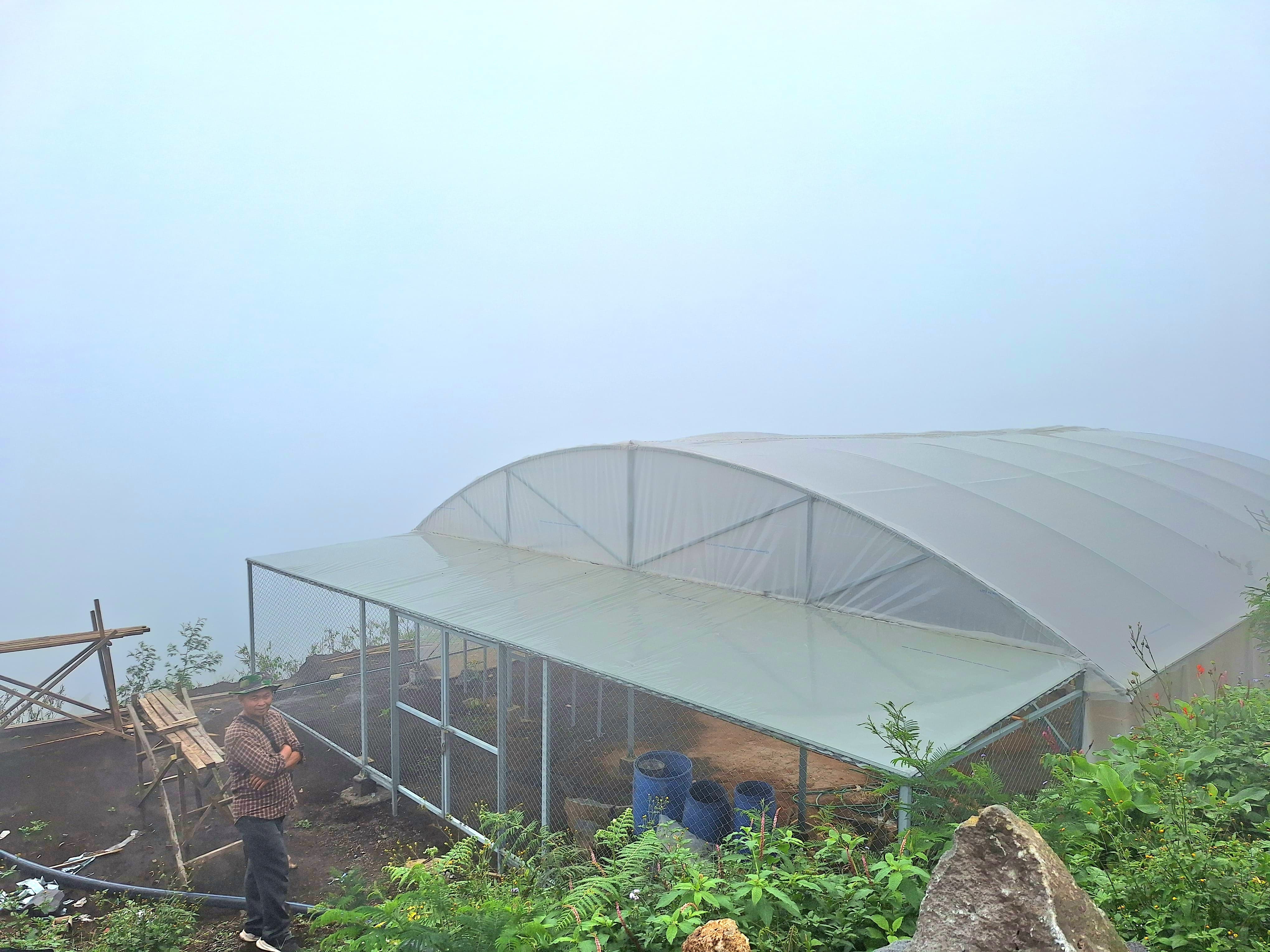 SANGAT MEMBANTU: Nur Hidayat menunjukkan greenhouse bantuan BI Malang yang sangat membantu meningkatkan produksi kopi dari awalnya 1,5 ton menjadi 12 ton per tahun, Jumat (13/12).