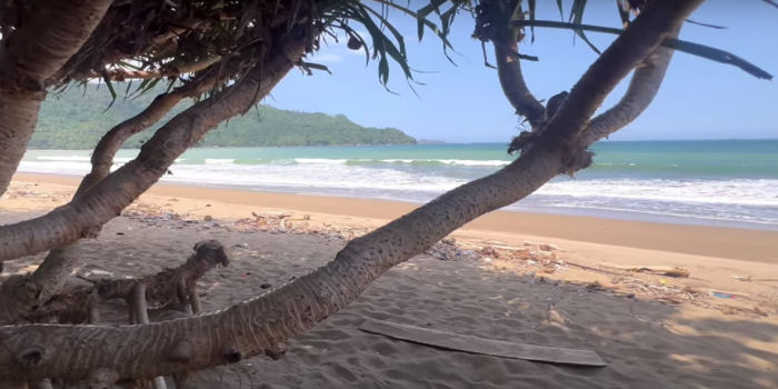 Pantai Perawan Sidoasri (Foto: Tangkapan layar Youtube pribadi Andika Hariadi)