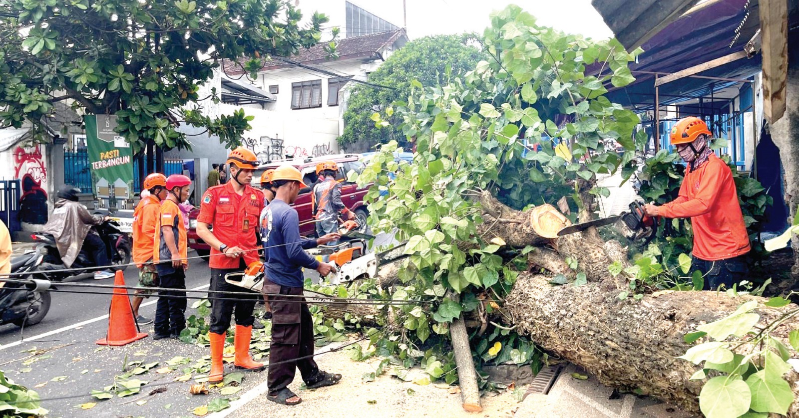 AKAR LAPUK: Petugas BPBD Kota Malang dibantu sejumlah relawan berupaya mengevakuasi pohon waru yang tumbang di Jalan Bandulan, Kecamatan Sukun, kemarin sore. BPBD KOTA MALANG FOR RADAR MALANG