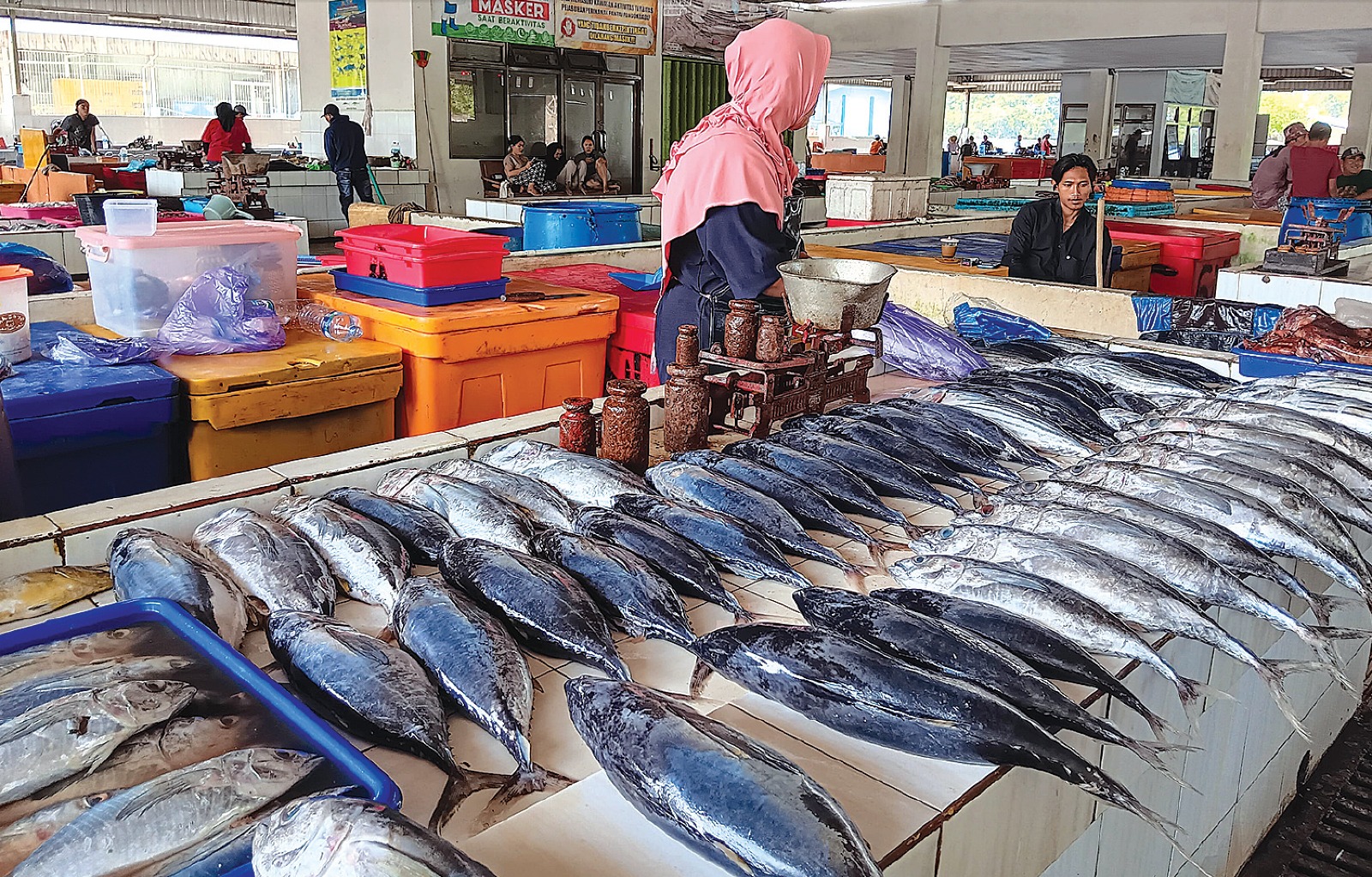 PROTEIN TINGGI: Ikan hasil tangkapan nelayan berjejer di kKios Ikan Nelayan (KIN) Sendangbiru, desa tambakrejo, Sumbermanjing Wetan kemarin.