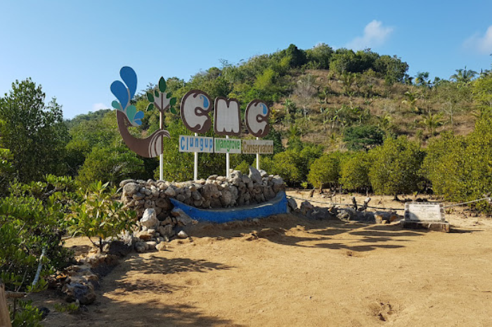 Clungup Mangrove Conservation mengajak pengunjung memberikan kontribusi untuk melestarikan alam (Google Maps El Yudith).