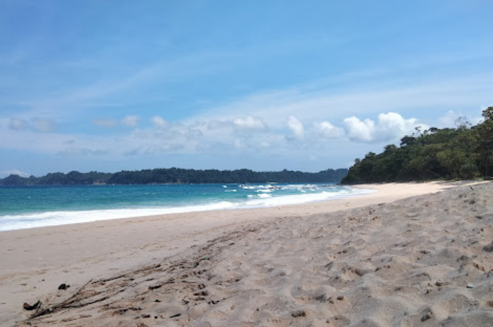 Pantai Sendiri di Malang Selatan merupakan satu di antara sedikit destinasi wisata alam yang masih sepi, pengunjung serasa berada di pantai milik pribadi (Google Maps Vioranda Felani).