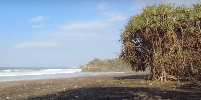 Pantai Wonorogo Kabupaten Malang (Foto: Tangkapan layar video pribadi Youtibe Niko_Channel)