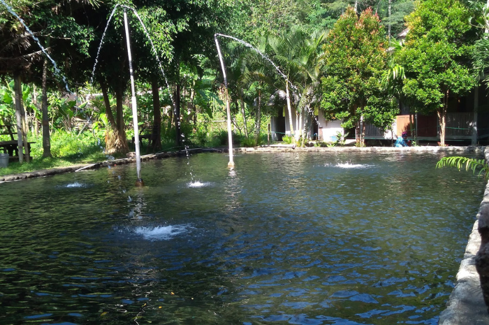 Sumber Krabyakan yang bisa jadi pilihan destinasi wisata bersama keluarga (Google Maps Monica Dwi Anggraini).