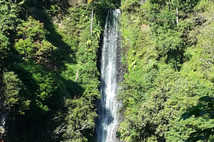 Lokasi Coban Parang Tejo masih belum banyak diketahui wisatawan (Google Maps Johan Nur Cahyo).