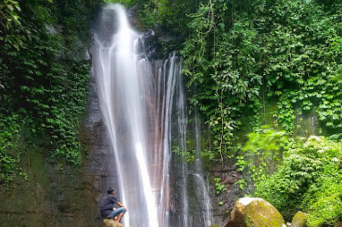 Coban Tarzan atau Coban Toris terletak di Dusun Begawan, Pandansari Lor, Kecamatan Jabung, Kabupaten Malang, Jawa Timur (Google Maps Embun Jiwa).