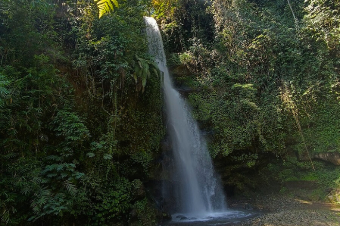 Coban Siuk adalah salah satu air terjun tersembunyi yang menakjubkan di Kabupaten Malang, Jawa Timur (Google Maps Lemon C).