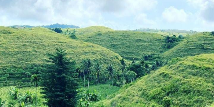 Bukit Teletubbies di Batu (Foto: Instagram @madesumita_driverguide22)
