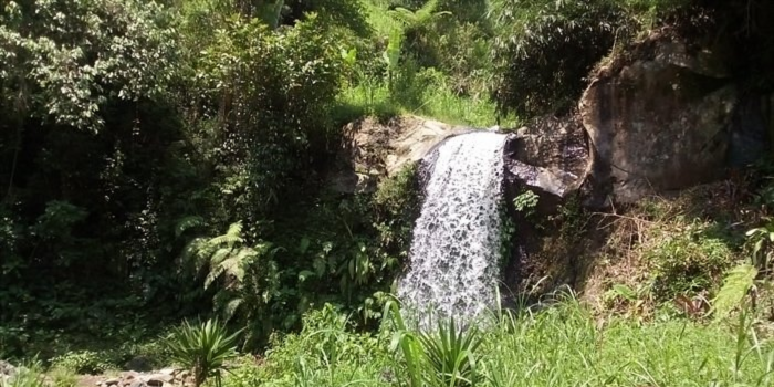 Coban Sisir, Keindahan Air Terjun Mini yang Menyegarkan di Jabung Malang  (source: trip advisor)