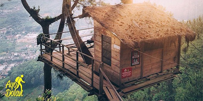 Pemandangan di Omah Kayu (Foto: Instagram @ayodolan)