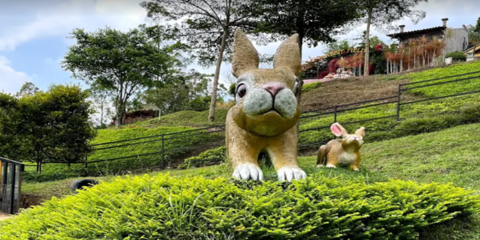 Rabbit Park (Foto: Google Maps/Sugianah Sugianah)