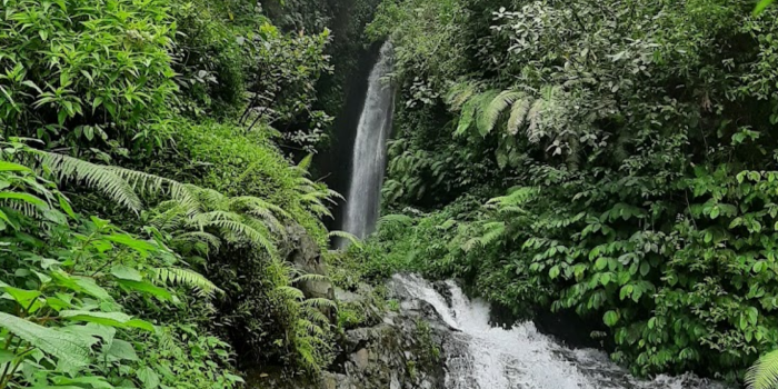 keindahan coban manan (source: google maps image)