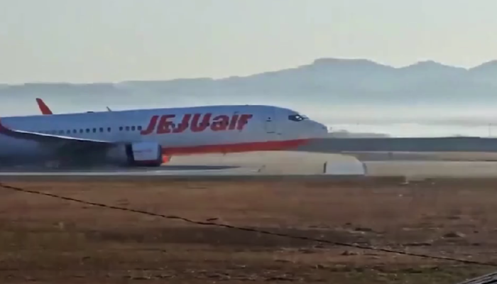 Pesawat Jeju Air (Foto: Lee Geun-young/ REUTERS)