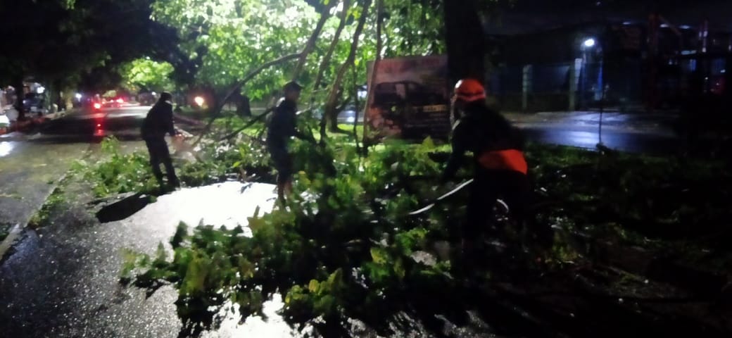 LAPUK: Petugas BPBD Kota Malang dibantu warga melakukan evakuasi terhadap dahan pohon trembesi yang patah, Senin malam (30/12).