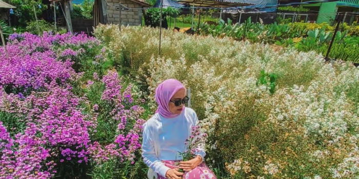 Kebun Bunga Sekarmulyo (Foto: Instagram @yourpicnicstuff)