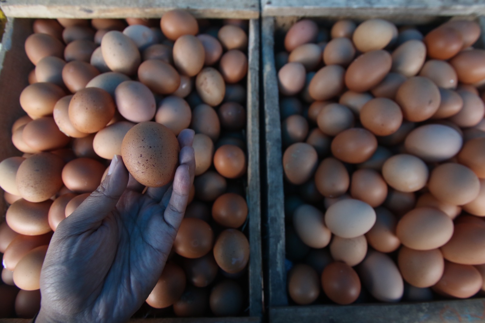 BANYAK DICARI WARGA: Harga telur ayam di Pasar Kebalen terus meningkat. Sampai kemarin, harganya berada di kisaran Rp 31 ribu per kilogram.